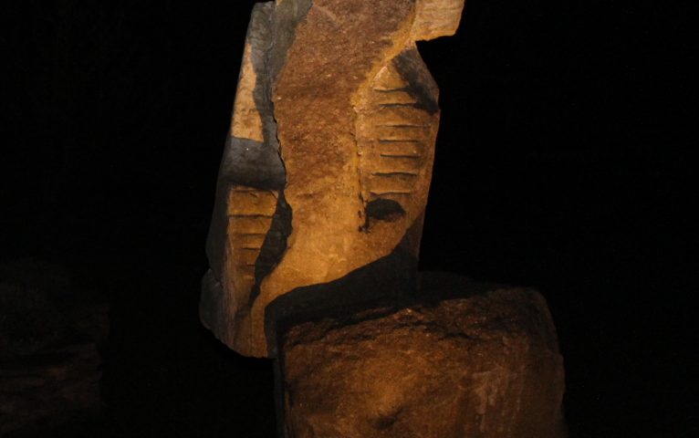 5C Mühlviertlerin bei Nacht_Nordansicht